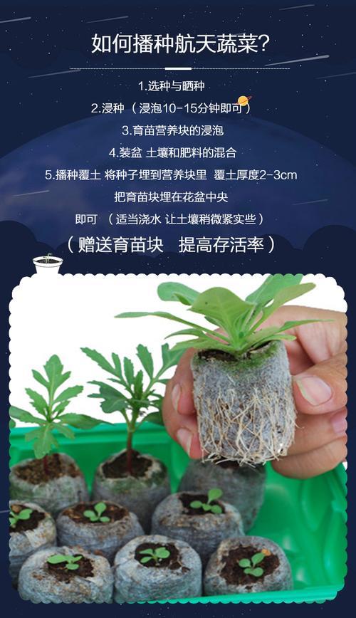 太空种子教师评语