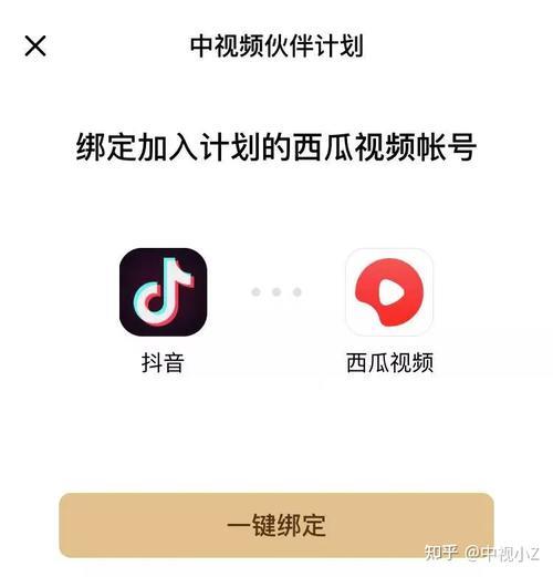 中视频伙伴计划要求真人头像吗