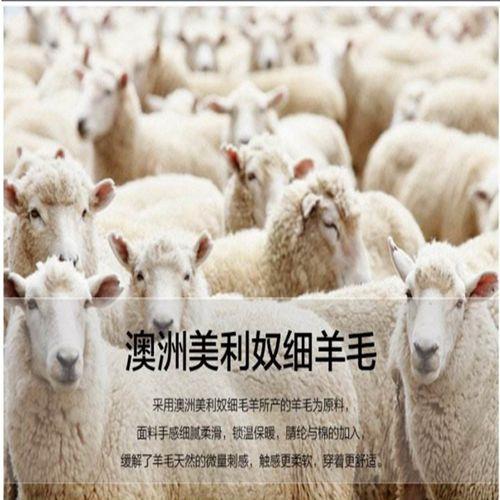 羊毛和澳毛有什么区别