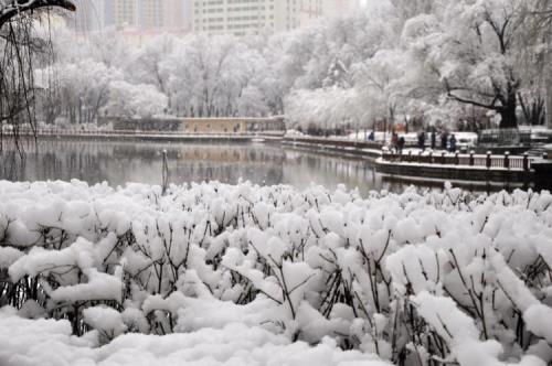 三月大雪人相食什么意思