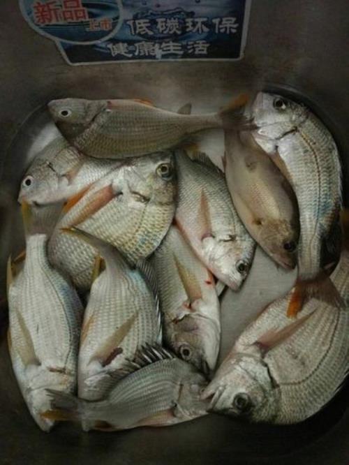 冰鲜黄脚腊鱼做法