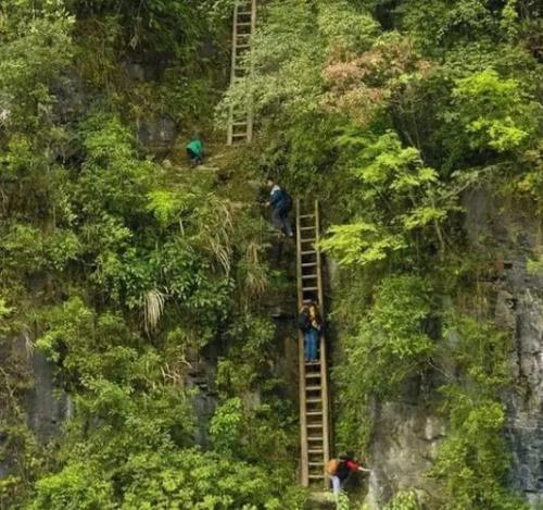 翻山涉水上学路共几季