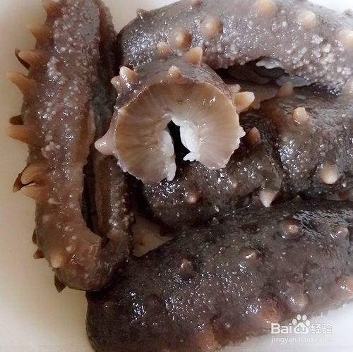 发干海参的正确方法简单