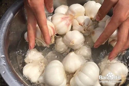 腌蒜泥正宗做法