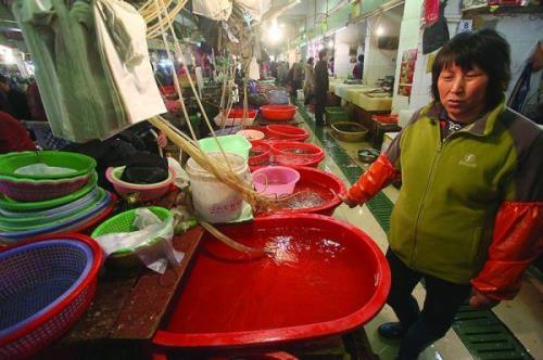 摆摊卖活虾要用什么工具