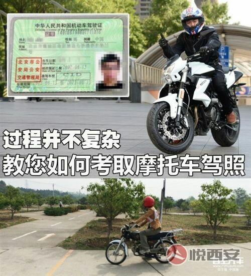 d照网上可以查询吗