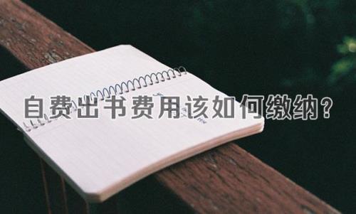 自费费用是什么意思