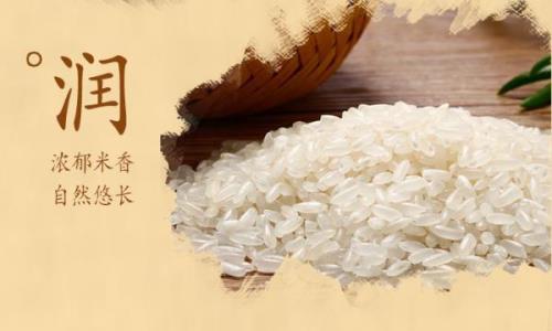五常指的是什么