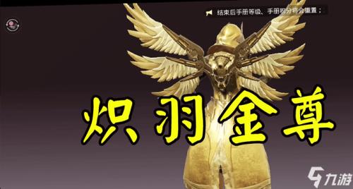 炽羽金尊可以给别人穿吗