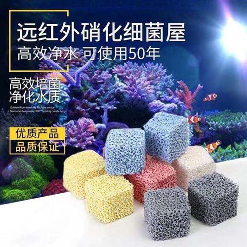 怎么自制硝化细菌