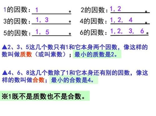 质数和因数有什么区别