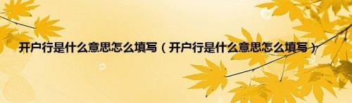开户什么意思
