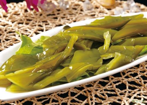 什么动物吃海白菜