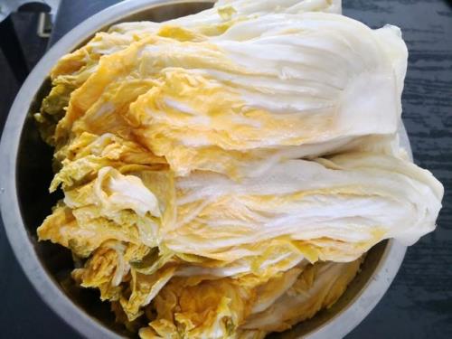 腌制酸辣白菜怎么做