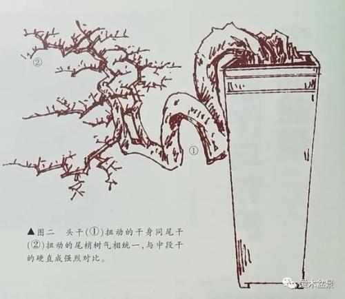 托枝与飘枝区别