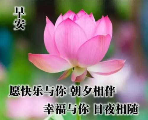 祝朋友早上好的诗