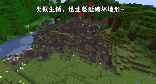 我的世界寂静守卫在什么地方