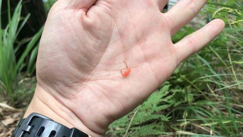 抖米钓法适用季节