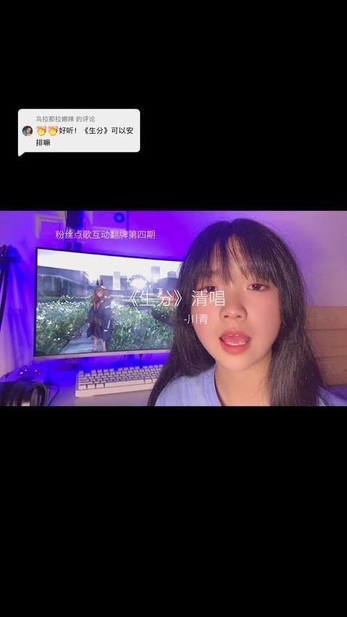 29秒是什么意思谁来解释一下
