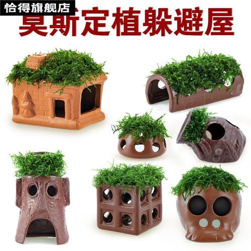 孔雀鱼躲避屋怎么做