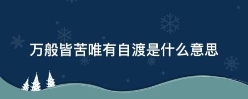 万般皆苦唯有自渡的文案