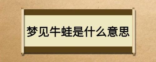 几率是什么意思