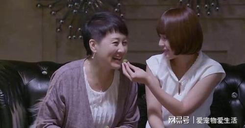 亲家亲母是什么意思