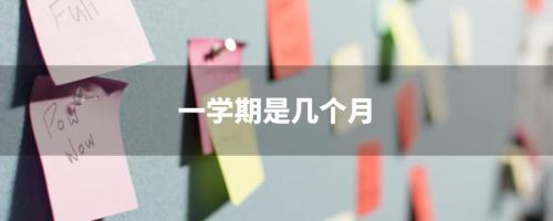 上学期是指几月到几月