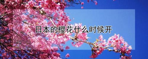 樱花一般什么季节开