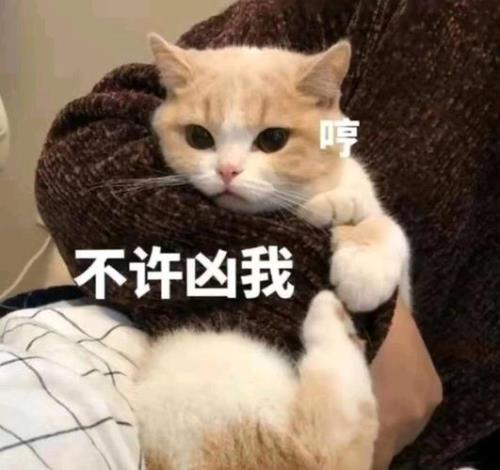 男生说我哪里凶了怎么回