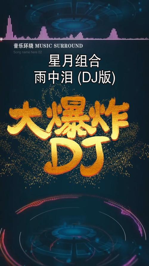 雨中泪dj版男生版原唱