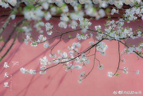 花重锦官城诗句