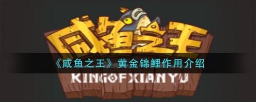 咸鱼之王6555关怎么过