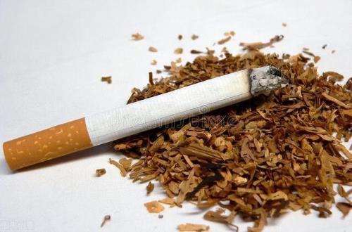 谁知道如何去除沙发上的烟味儿