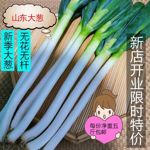 大葱怎么保存新鲜不烂