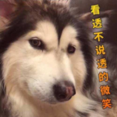 是看透不说破，还是看透不说透
