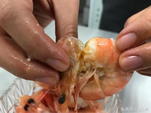 活虾注胶后还是活的吗
