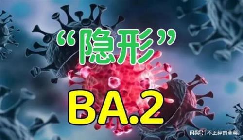 奥密克戎ba276和ba52哪个毒性强