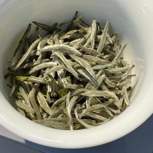 福鼎白茶怎么泡