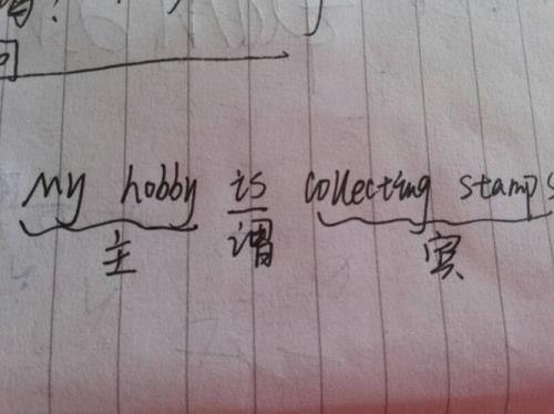 so后面的句子是宾语吗