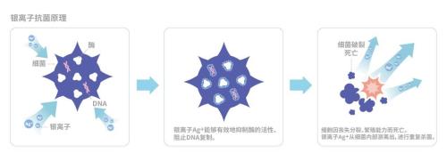 银离子的化学符号