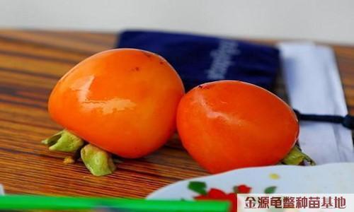 柿子配牛奶的顺口溜