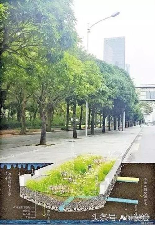 滞留层又称