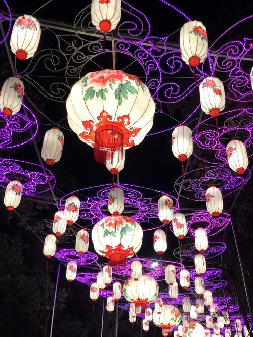 元宵节的花灯千姿百态