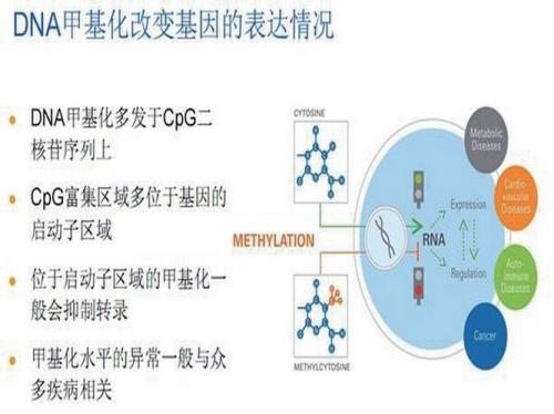 取代基稳定性比较