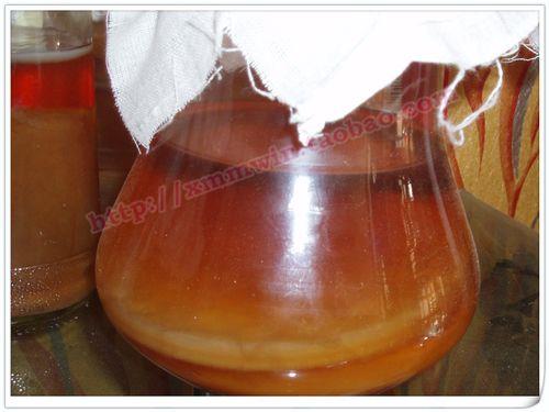 红茶菌制作方法
