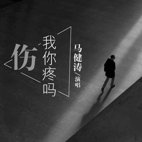 马健涛我这一生最好听的十首歌