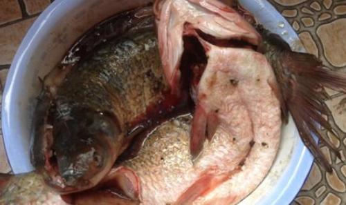 草鱼用酱油怎么腌制