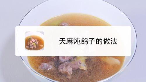 天麻鸽子炖汤最佳配方