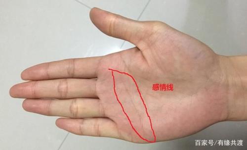 哪条是感情线